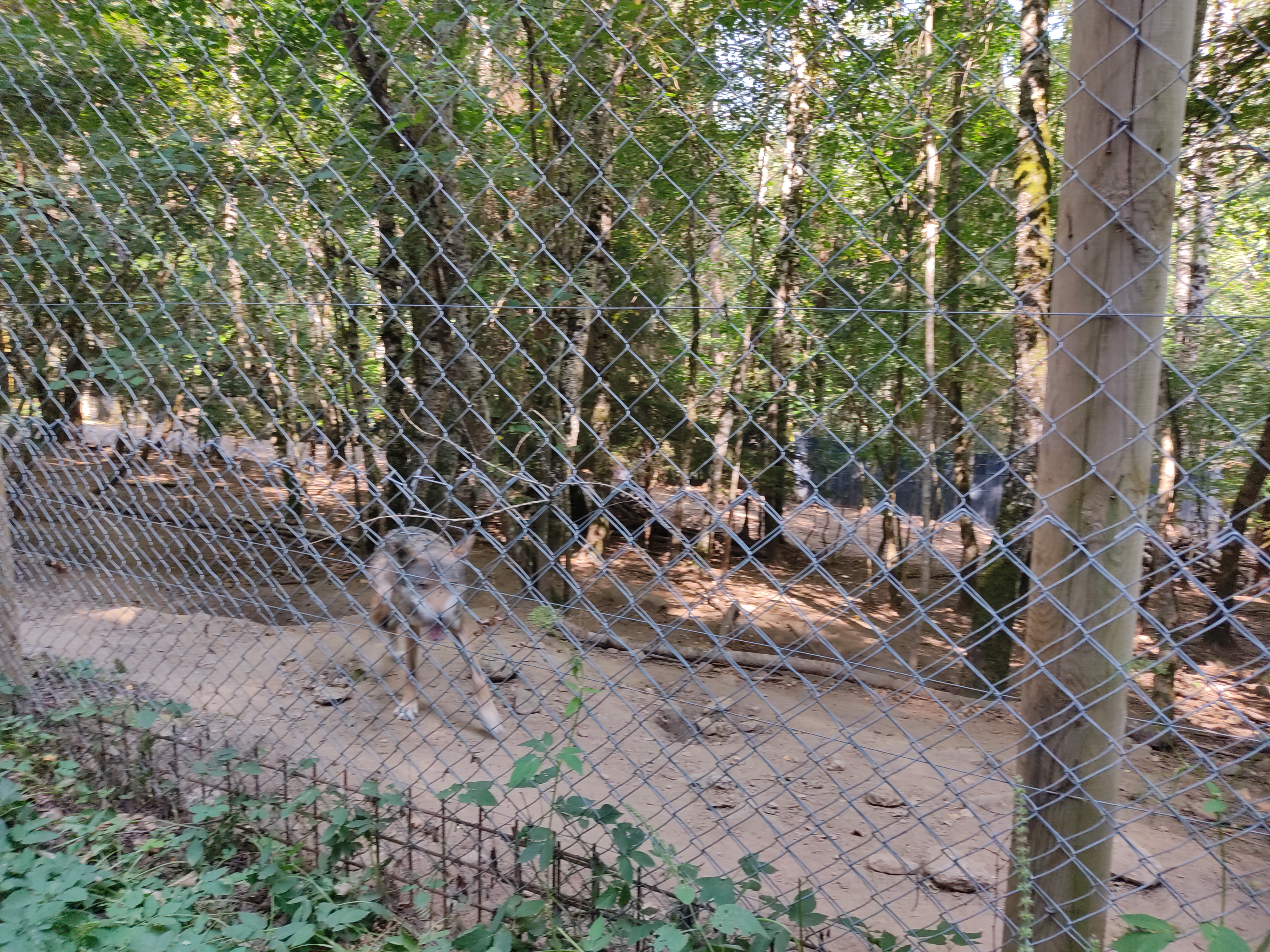 Photo n° 8 de l'avis de Delphine.e fait le 17/08/2022 à 19:26