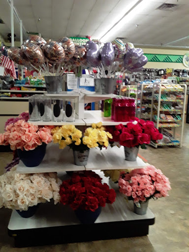 Dollar Store «Dollar Tree», reviews and photos, 2241 Citrus Blvd #107, Leesburg, FL 34748, USA