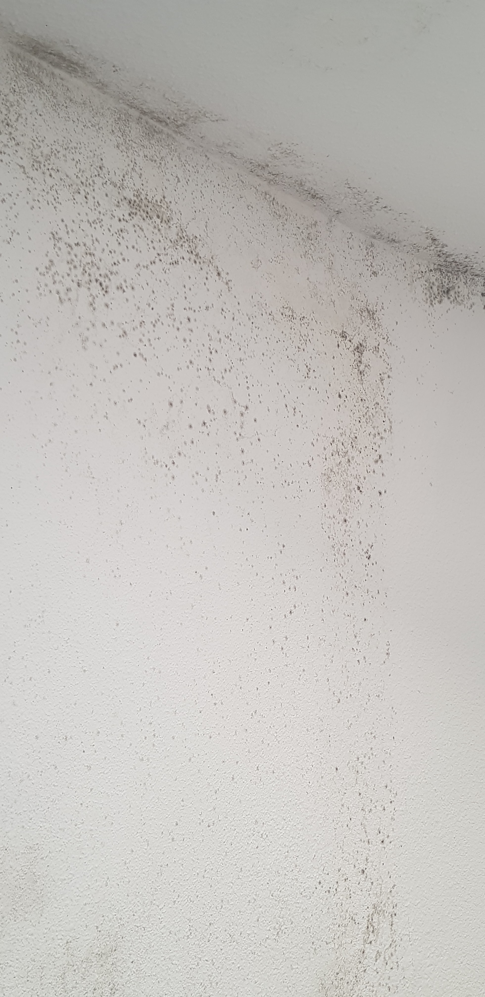 Photo n° 3 de l'avis de Delphine.o fait le 22/02/2020 à 13:42