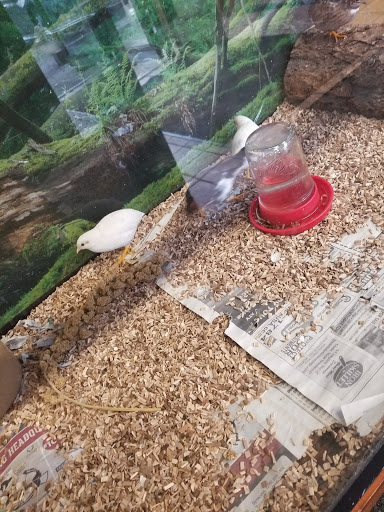 Pet Store «Creekside Pets & Supplies», reviews and photos, 1811 Abbott Rd, Lackawanna, NY 14218, USA