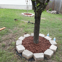 Rose Cleaning Service - Photo 2 - Car repair in , San Antonio