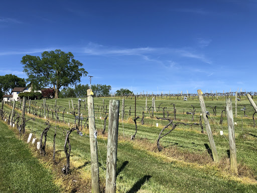 Winery «Pearmund Cellars», reviews and photos, 6190 Georgetown Rd, Broad Run, VA 20137, USA