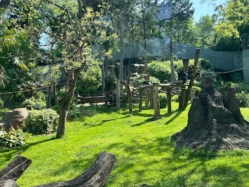 Transit Stop «Dallas Zoo Station», reviews and photos, 614 S. Ewing Avenue, Dallas, TX 75203, USA