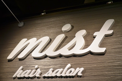 mist hair salon