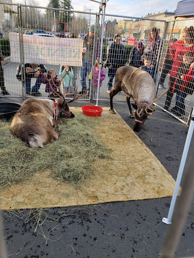 Clothing Store «Old Navy», reviews and photos, 747 NW 12th St, Gresham, OR 97030, USA