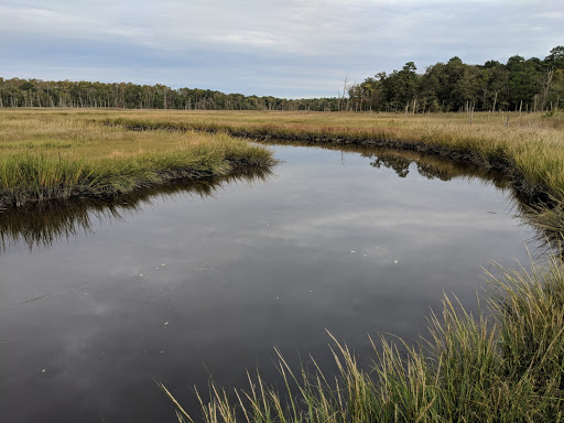 Nature Preserve «Eldora Nature Preserve», reviews and photos, 2350 NJ-47, Delmont, NJ 08314, USA