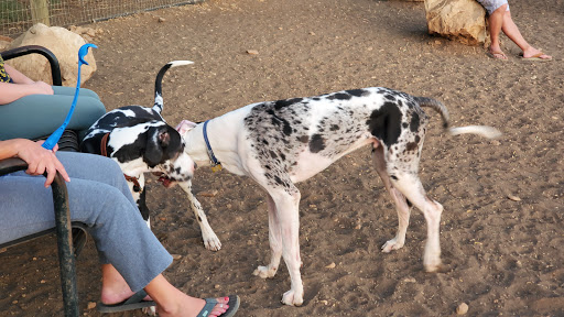 Park «Nani Falcone Community Park», reviews and photos, 7625 Mystic Park, San Antonio, TX 78254, USA