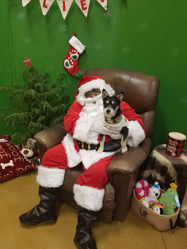 Pet Supply Store «PetSmart», reviews and photos, 5241 Monroe St, Toledo, OH 43623, USA