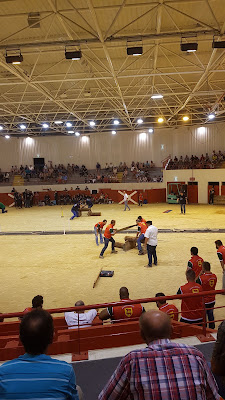 Arènes Arzacq à Vignes