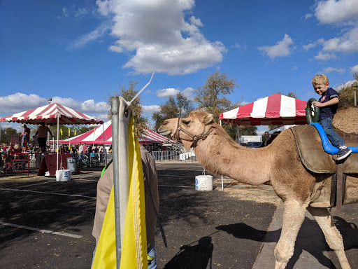 Park «Tumbleweed Park», reviews and photos, 745 E Germann Rd, Chandler, AZ 85286, USA