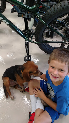 Bicycle Store «Trailhead Bicycles», reviews and photos, 355 Ozark Trail Dr, Ellisville, MO 63011, USA