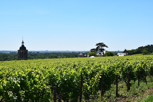 Agence de visites touristiques Rendez-Vous dans les Vignes Chançay