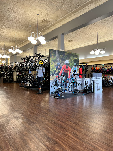 Bicycle Store «Bike Gallery - Westmoreland», reviews and photos, 6717 SE Milwaukie Ave, Portland, OR 97202, USA