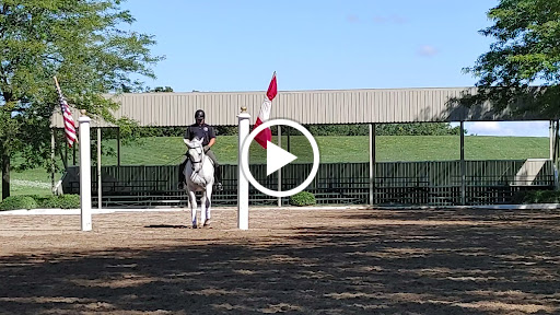 Tourist Attraction «The Tempel Lipizzans», reviews and photos, 17000 W Wadsworth Rd, Old Mill Creek, IL 60083, USA
