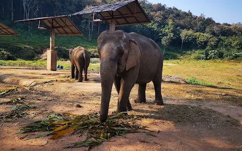 Lanna Kingdom Elephant Sanctuary image