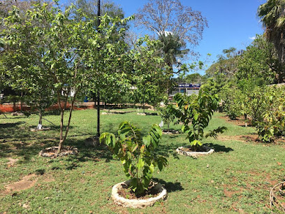 Arboretum de Frutales Mayas Cholul