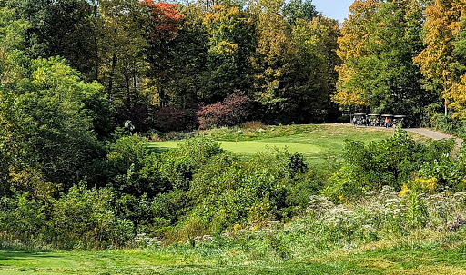 Golf Course «Legendary Run Golf Course», reviews and photos, 915 E Legendary Run, Cincinnati, OH 45245, USA