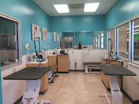 Petco - Photo 9 - Car repair in Jacksonville, FL, Jacksonville