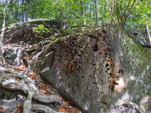 Park «Gorge Metro Park», reviews and photos, 1160 Front St, Cuyahoga Falls, OH 44223, USA