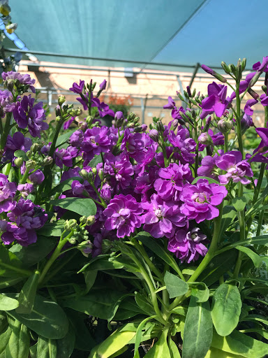 Home Improvement Store «Grange Co-op», reviews and photos, 1262 Stabler Ln, Yuba City, CA 95993, USA