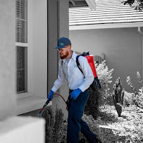 PEST PROS PEST SOLUTIONS