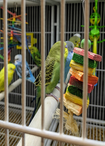 Pet Supply Store «Pet Supplies Plus», reviews and photos, 4110 Hunt Rd, Blue Ash, OH 45236, USA