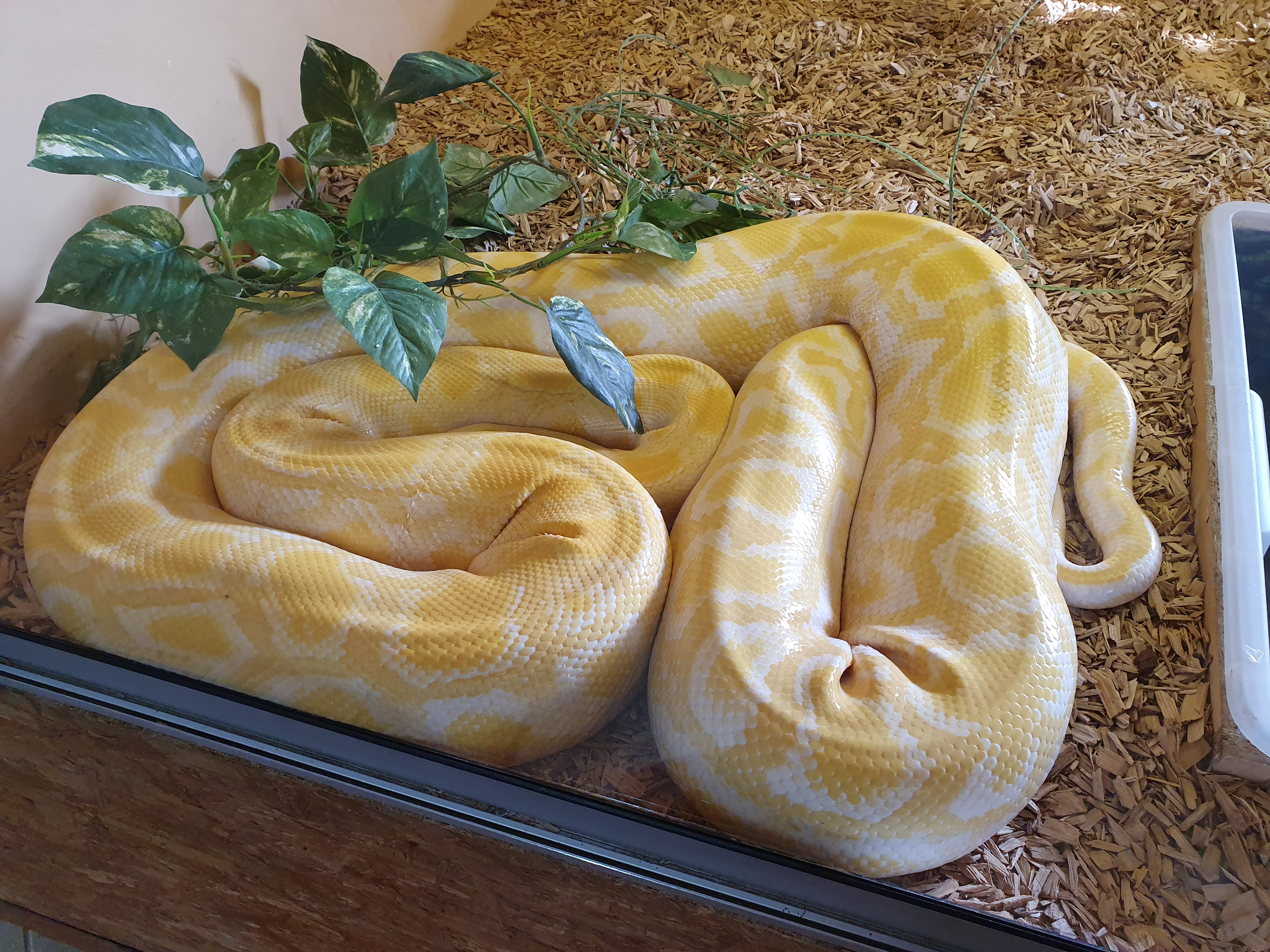 Photo n° 3 de l'avis de Laetitia.o fait le 20/10/2019 à 17:56