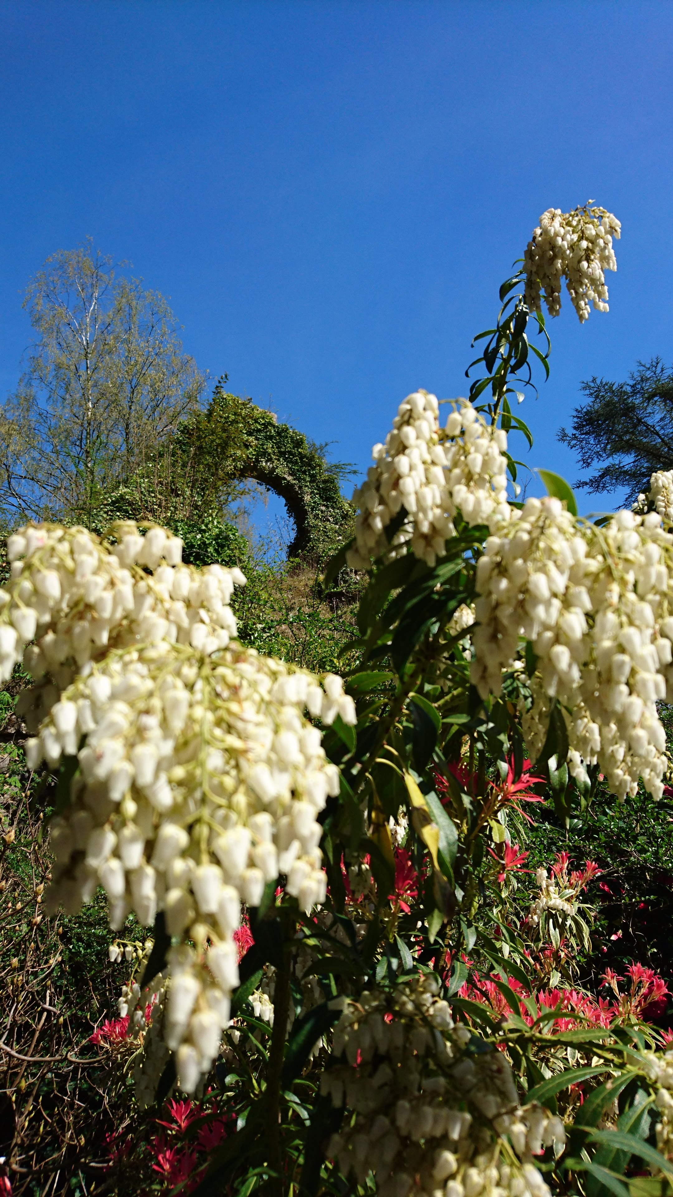 Photo n° 6 de l'avis de Pascale.o fait le 18/04/2018 à 14:11