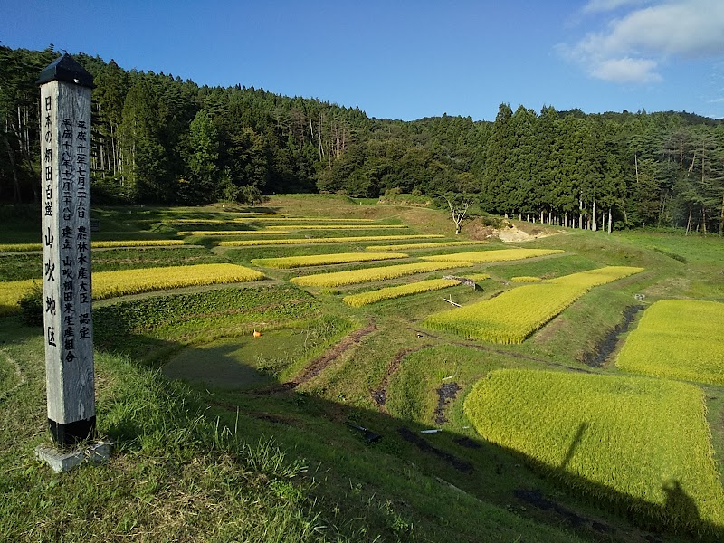 山吹の棚田