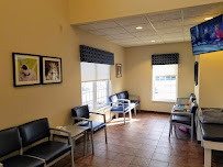 VCA Veterinary Specialists of CT - Photo 4 - Car repair in West Hartford, CT, Hartford