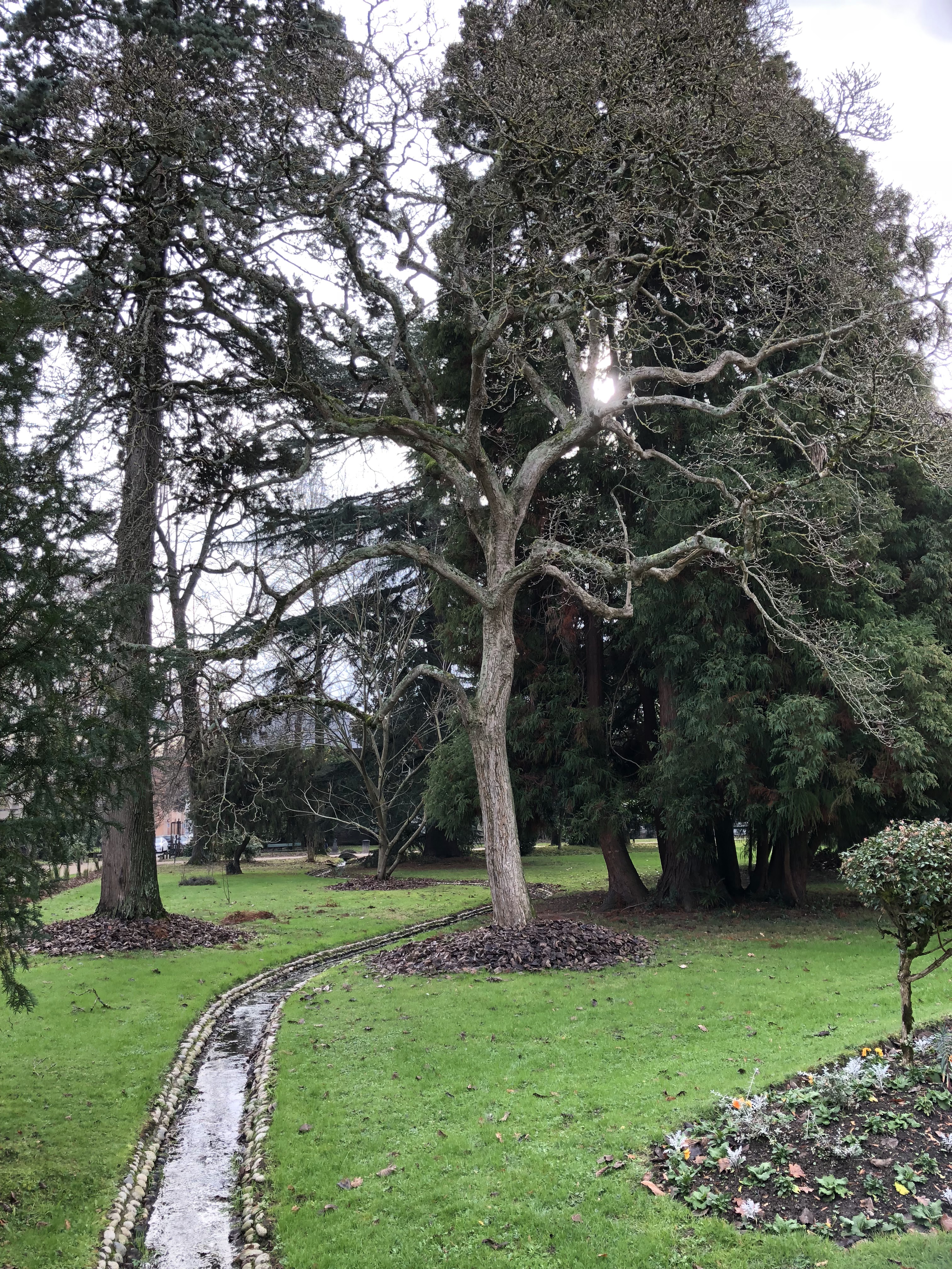 Photo n° 41 de l'avis de Philippe.a fait le 18/12/2018 à 14:27