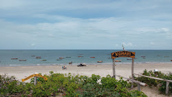 Photo de Praia de Barrinha - endroit populaire parmi les connaisseurs de la détente