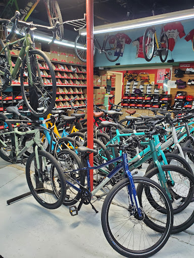 Bicycle Store «West End Bicycles», reviews and photos, 5427 Blossom St, Houston, TX 77007, USA