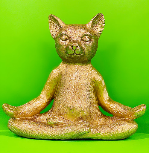 Department Store «HomeGoods», reviews and photos, 205 Imperial Hwy, Brea, CA 92821, USA