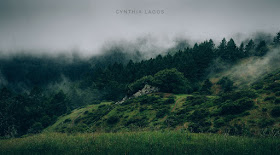 Cynthia Lagos Fotografías