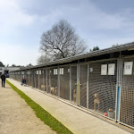 Photo n° 2 de l'avis de Marie.l fait le 28/03/2022 à 08:40 pour La Société Protectrice des Animaux (SPA) - Refuge de Saint-Pierre-du-Mont à Saint-Pierre-du-Mont