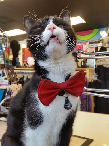 Used Clothing Store «iconoCLAD», reviews and photos, 414 300 S, Salt Lake City, UT 84111, USA