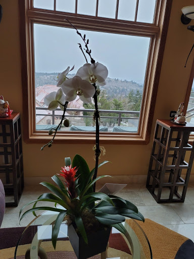 Florist «Seattle Flowers», reviews and photos, 600 2nd Ave, Seattle, WA 98104, USA