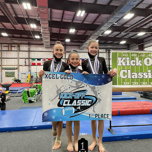 Gymnastics Center «LIC Kids Gymnastics», reviews and photos, 5-02 50th Ave, Long Island City, NY 11101, USA