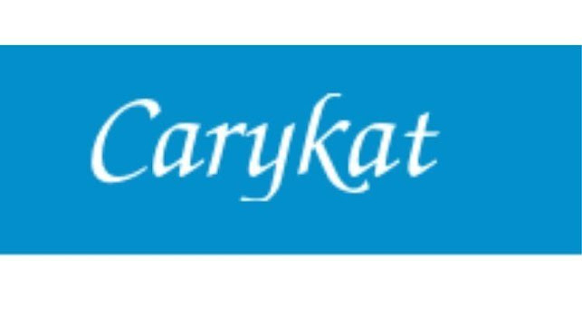 Comentarios y opiniones de CARYKAT INMOBILIARIA SPA