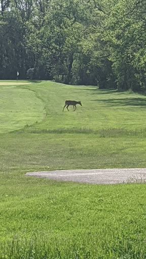 Golf Course «Woodruff Golf Course», reviews and photos, 621 Gougar Rd, Joliet, IL 60432, USA