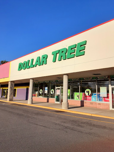 Dollar Store «Dollar Tree», reviews and photos, 290 Saratoga Rd, Glenville, NY 12302, USA