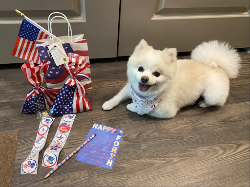 Pet Supply Store «EarthWise Pet Supply - Richardson», reviews and photos, 1310 W Campbell Rd #128, Richardson, TX 75080, USA