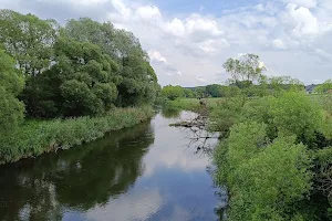 Rezerwat Rzeka Drwęca image