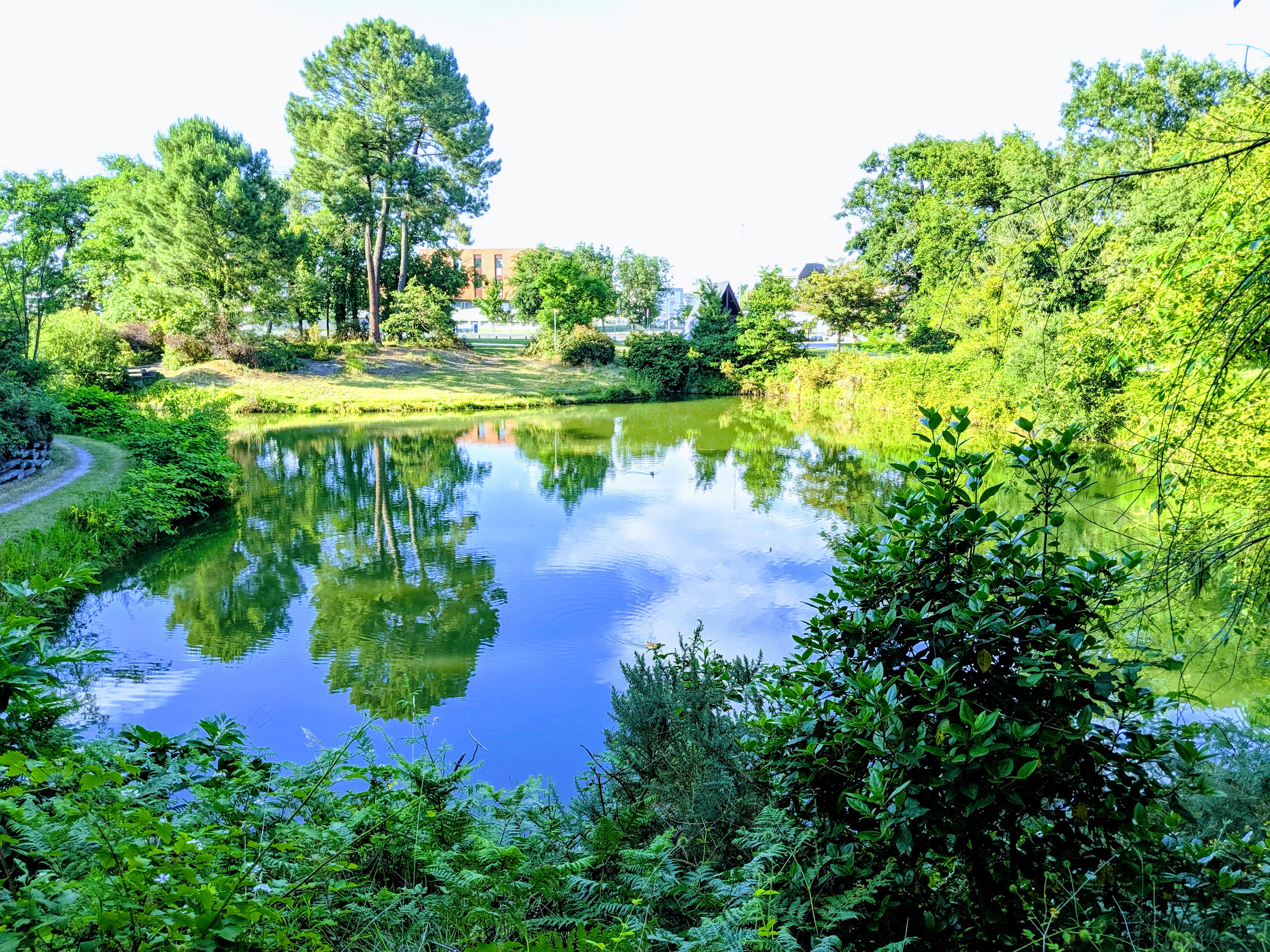 Photo n° 1 de l'avis de Loïc.a fait le 18/06/2019 à 17:54
