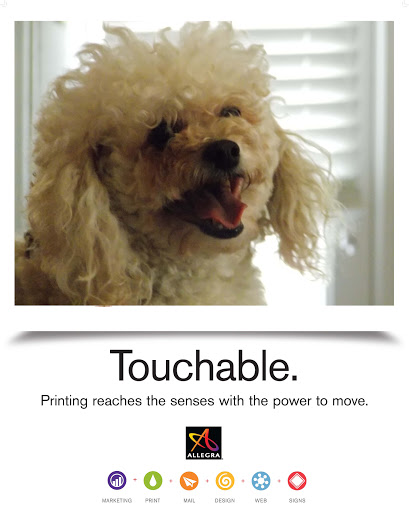 Print Shop «Allegra Marketing Print Mail», reviews and photos, 1021 W Abram St, Arlington, TX 76013, USA