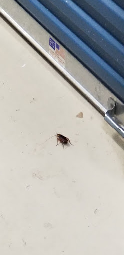 Storage Facility «Extra Space Storage», reviews and photos, 10325 W Broward Blvd, Plantation, FL 33324, USA