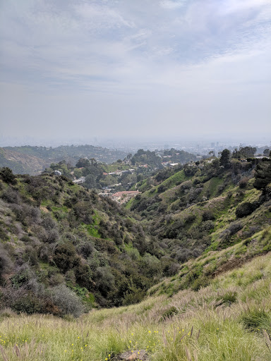 LA Fly Rides image