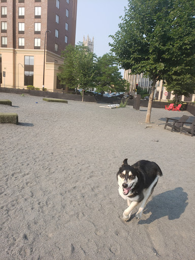 Dog Park «Gateway Dog Park», reviews and photos, 1099 S 4th Ave, Minneapolis, MN 55404, USA
