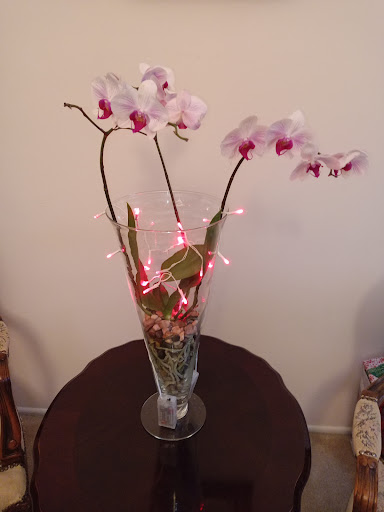 Florist «Designs by Doe Specialty Florist and Gifts», reviews and photos, 1595 W 5th Ave, Columbus, OH 43212, USA